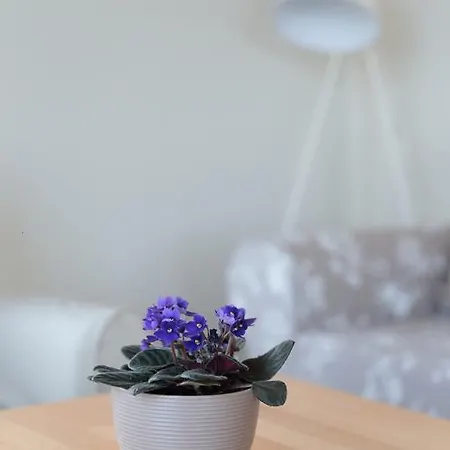 Apartman Kabakum